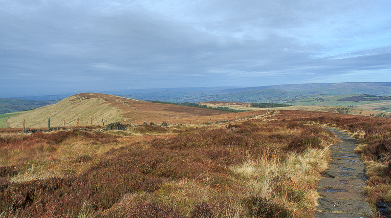 Cats Tor